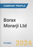 Borax Morarji Ltd. Fundamental Company Report Including Financial, SWOT, Competitors and Industry Analysis- Product Image
