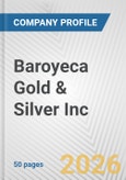 Baroyeca Gold & Silver Inc. Fundamental Company Report Including Financial, SWOT, Competitors and Industry Analysis- Product Image