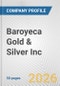 Baroyeca Gold & Silver Inc. Fundamental Company Report Including Financial, SWOT, Competitors and Industry Analysis - Product Thumbnail Image