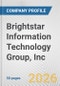 Brightstar Information Technology Group, Inc. Fundamental Company Report Including Financial, SWOT, Competitors and Industry Analysis - Product Thumbnail Image