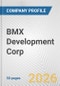 BMX Development Corp. Fundamental Company Report Including Financial, SWOT, Competitors and Industry Analysis - Product Thumbnail Image