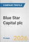 Blue Star Capital plc Fundamental Company Report Including Financial, SWOT, Competitors and Industry Analysis - Product Thumbnail Image