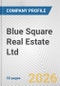 Blue Square Real Estate Ltd. Fundamental Company Report Including Financial, SWOT, Competitors and Industry Analysis - Product Thumbnail Image