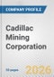 Cadillac Mining Corporation Fundamental Company Report Including Financial, SWOT, Competitors and Industry Analysis - Product Thumbnail Image