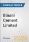 Binani Cement Limited Fundamental Company Report Including Financial, SWOT, Competitors and Industry Analysis - Product Thumbnail Image