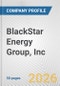 BlackStar Energy Group, Inc. Fundamental Company Report Including Financial, SWOT, Competitors and Industry Analysis - Product Thumbnail Image