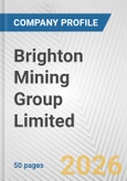Brighton Mining Group Limited Fundamental Company Report Including Financial, SWOT, Competitors and Industry Analysis- Product Image