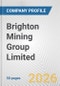 Brighton Mining Group Limited Fundamental Company Report Including Financial, SWOT, Competitors and Industry Analysis - Product Thumbnail Image