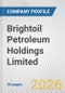 Brightoil Petroleum Holdings Limited Fundamental Company Report Including Financial, SWOT, Competitors and Industry Analysis - Product Thumbnail Image