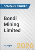 Bondi Mining Limited Fundamental Company Report Including Financial, SWOT, Competitors and Industry Analysis- Product Image