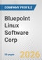 Bluepoint Linux Software Corp. Fundamental Company Report Including Financial, SWOT, Competitors and Industry Analysis - Product Thumbnail Image