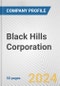 Black Hills Corporation Fundamental Company Report Including Financial, SWOT, Competitors and Industry Analysis - Product Thumbnail Image