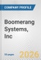 Boomerang Systems, Inc. Fundamental Company Report Including Financial, SWOT, Competitors and Industry Analysis - Product Thumbnail Image