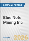 Blue Note Mining Inc. Fundamental Company Report Including Financial, SWOT, Competitors and Industry Analysis- Product Image