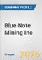 Blue Note Mining Inc. Fundamental Company Report Including Financial, SWOT, Competitors and Industry Analysis - Product Thumbnail Image