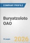 Buryatzoloto OAO Fundamental Company Report Including Financial, SWOT, Competitors and Industry Analysis - Product Thumbnail Image