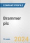 Brammer plc Fundamental Company Report Including Financial, SWOT, Competitors and Industry Analysis - Product Thumbnail Image