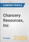 Chancery Resources, Inc. Fundamental Company Report Including Financial, SWOT, Competitors and Industry Analysis - Product Thumbnail Image