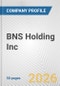 BNS Holding Inc. Fundamental Company Report Including Financial, SWOT, Competitors and Industry Analysis - Product Thumbnail Image