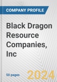 Black Dragon Resource Companies, Inc. Fundamental Company Report Including Financial, SWOT, Competitors and Industry Analysis- Product Image