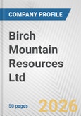 Birch Mountain Resources Ltd. Fundamental Company Report Including Financial, SWOT, Competitors and Industry Analysis- Product Image