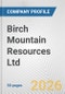 Birch Mountain Resources Ltd. Fundamental Company Report Including Financial, SWOT, Competitors and Industry Analysis - Product Thumbnail Image