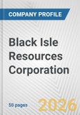 Black Isle Resources Corporation Fundamental Company Report Including Financial, SWOT, Competitors and Industry Analysis- Product Image