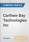 Carthew Bay Technologies Inc Fundamental Company Report Including Financial, SWOT, Competitors and Industry Analysis - Product Thumbnail Image