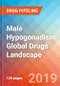 Male Hypogonadism - Global API Manufacturers, Marketed and Phase III Drugs Landscape, 2019 - Product Thumbnail Image