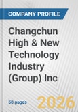 Changchun High & New Technology Industry (Group) Inc. Fundamental Company Report Including Financial, SWOT, Competitors and Industry Analysis- Product Image