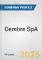 Cembre SpA Fundamental Company Report Including Financial, SWOT, Competitors and Industry Analysis - Product Thumbnail Image