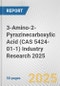 3-Amino-2-Pyrazinecarboxylic Acid (CAS 5424-01-1) Industry Research 2025: Global and Regional Market Trends 2019-2024 and Forecast to 2029 - Product Image