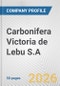 Carbonifera Victoria de Lebu S.A. Fundamental Company Report Including Financial, SWOT, Competitors and Industry Analysis - Product Thumbnail Image