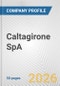 Caltagirone SpA Fundamental Company Report Including Financial, SWOT, Competitors and Industry Analysis - Product Thumbnail Image