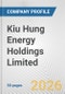 Kiu Hung Energy Holdings Limited Fundamental Company Report Including Financial, SWOT, Competitors and Industry Analysis - Product Thumbnail Image