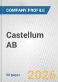 Castellum AB Fundamental Company Report Including Financial, SWOT, Competitors and Industry Analysis- Product Image