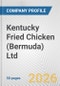 Kentucky Fried Chicken (Bermuda) Ltd. Fundamental Company Report Including Financial, SWOT, Competitors and Industry Analysis - Product Thumbnail Image