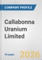 Callabonna Uranium Limited Fundamental Company Report Including Financial, SWOT, Competitors and Industry Analysis - Product Thumbnail Image