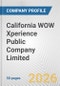 California WOW Xperience Public Company Limited. Fundamental Company Report Including Financial, SWOT, Competitors and Industry Analysis - Product Thumbnail Image