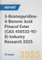 3-Bromopyridine-4-Boronic Acid Pinacol Ester (CAS 458532-92-8) Industry Research 2025: Global and Regional Market Trends 2019-2024 and Forecast to 2029 - Product Thumbnail Image