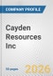 Cayden Resources Inc. Fundamental Company Report Including Financial, SWOT, Competitors and Industry Analysis - Product Thumbnail Image