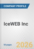 IceWEB Inc. Fundamental Company Report Including Financial, SWOT, Competitors and Industry Analysis- Product Image