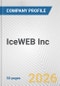 IceWEB Inc. Fundamental Company Report Including Financial, SWOT, Competitors and Industry Analysis - Product Thumbnail Image