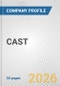 CAST Fundamental Company Report Including Financial, SWOT, Competitors and Industry Analysis - Product Thumbnail Image