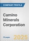 Camino Minerals Corporation Fundamental Company Report Including Financial, SWOT, Competitors and Industry Analysis - Product Thumbnail Image