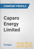 Caparo Energy Limited Fundamental Company Report Including Financial, SWOT, Competitors and Industry Analysis- Product Image