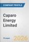 Caparo Energy Limited Fundamental Company Report Including Financial, SWOT, Competitors and Industry Analysis - Product Thumbnail Image