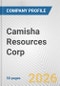 Camisha Resources Corp. Fundamental Company Report Including Financial, SWOT, Competitors and Industry Analysis - Product Thumbnail Image