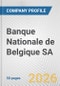 Banque Nationale de Belgique SA Fundamental Company Report Including Financial, SWOT, Competitors and Industry Analysis - Product Thumbnail Image