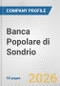 Banca Popolare di Sondrio Fundamental Company Report Including Financial, SWOT, Competitors and Industry Analysis - Product Thumbnail Image